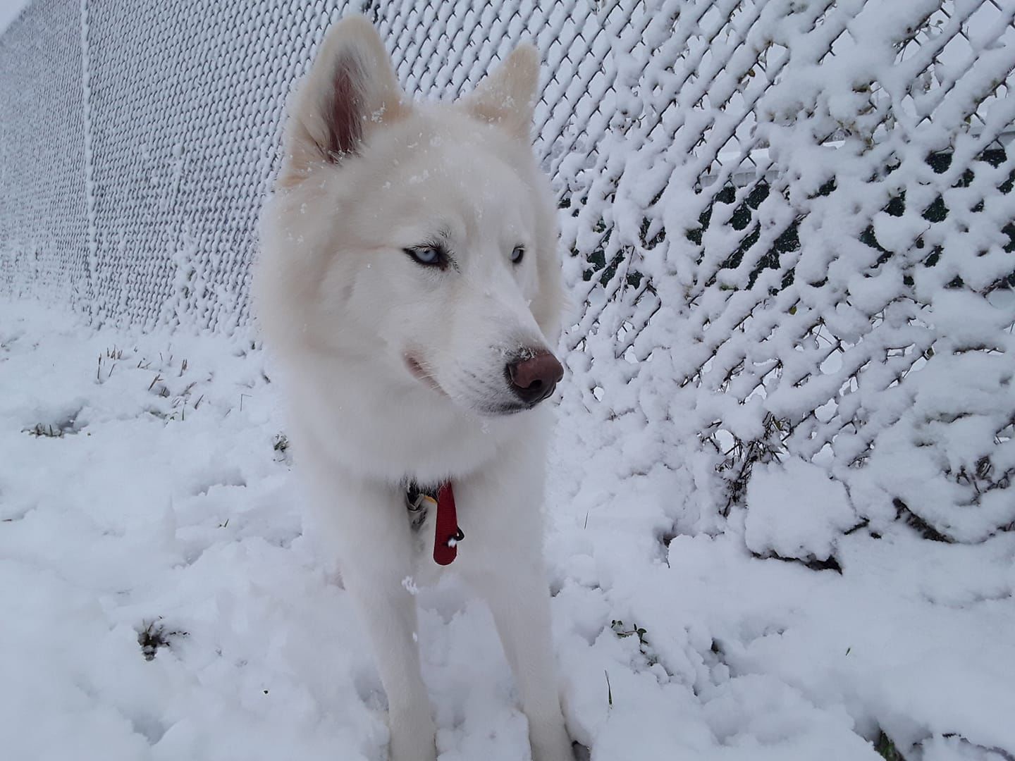 Snow, 10/14
